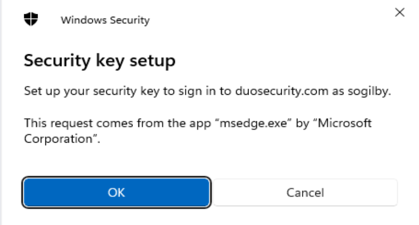 Windows Security Key Prompt